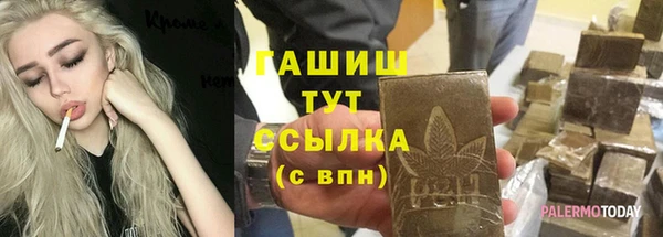 спайс Каменка