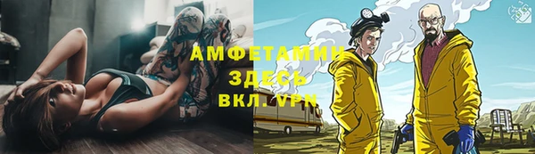 ПСИЛОЦИБИНОВЫЕ ГРИБЫ Алексин