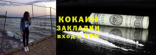 спайс Каменка